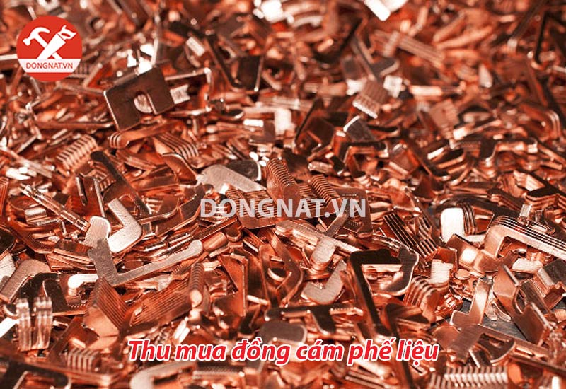 mua-ban-dong-cam-phe-lieu