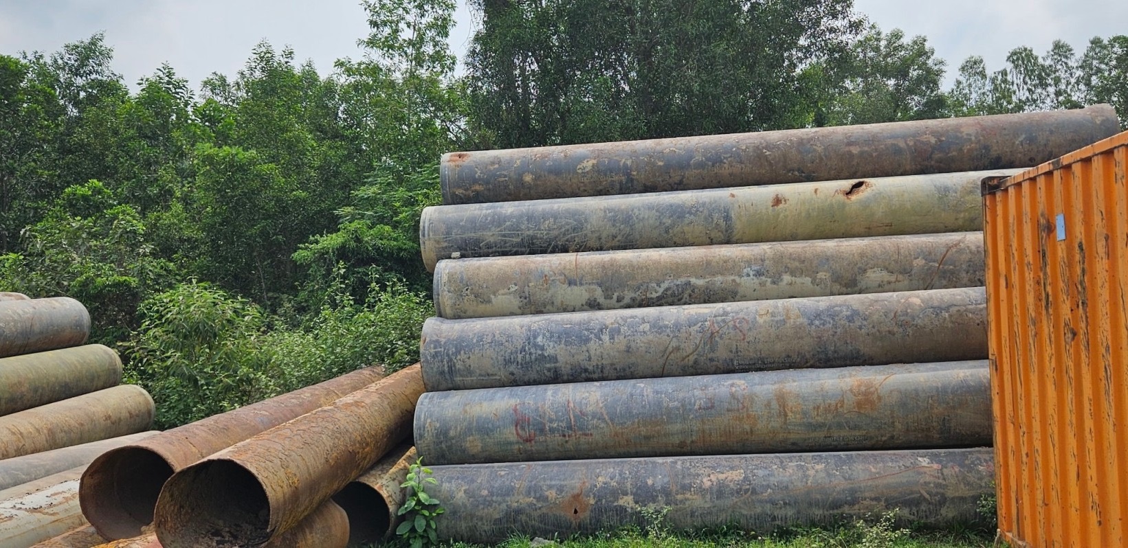 Mua-Thanh-Ly-Ong-Gang