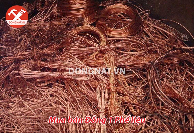mua-ban-dong-1-phe-lieu