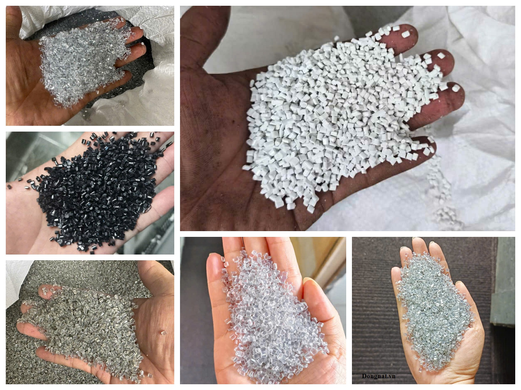 Hat-Nhua-PET-tai-Tai-Sinh-Can-Mang